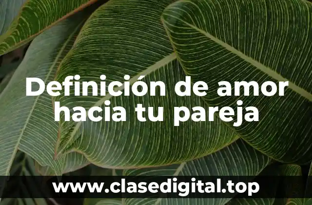 Definición de amor hacia tu pareja
