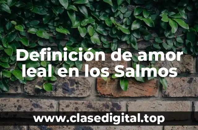 Definición de amor leal en los Salmos