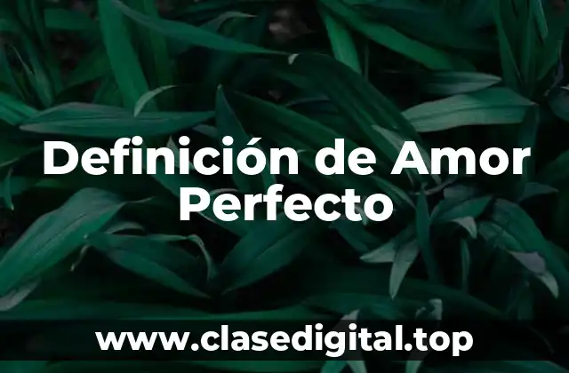 Definición de Amor Perfecto