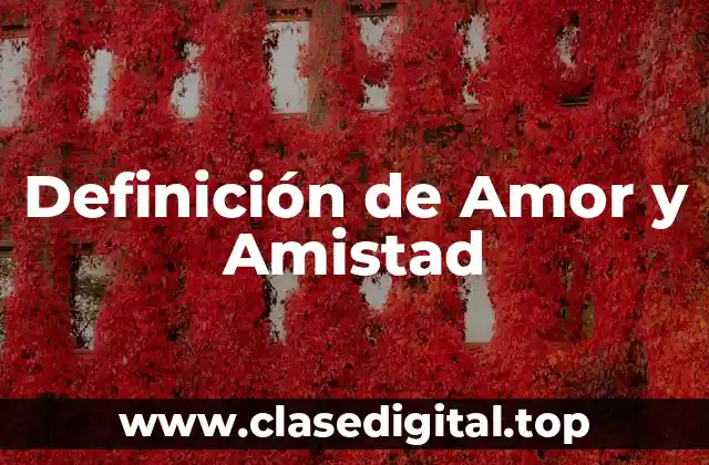 Definición técnica de Amor y Amistad