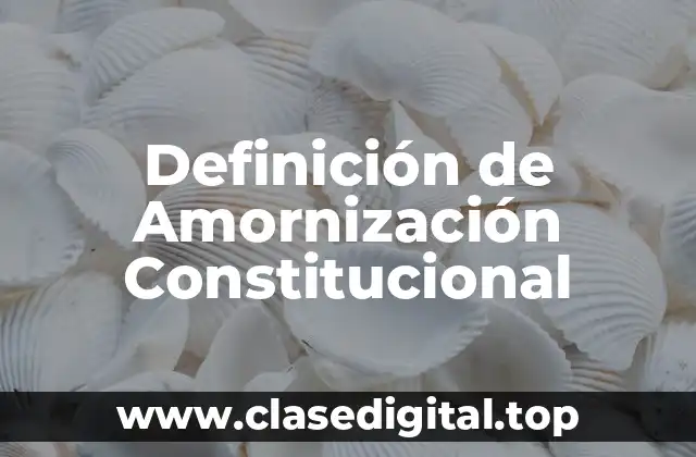 Definición de Amornización Constitucional