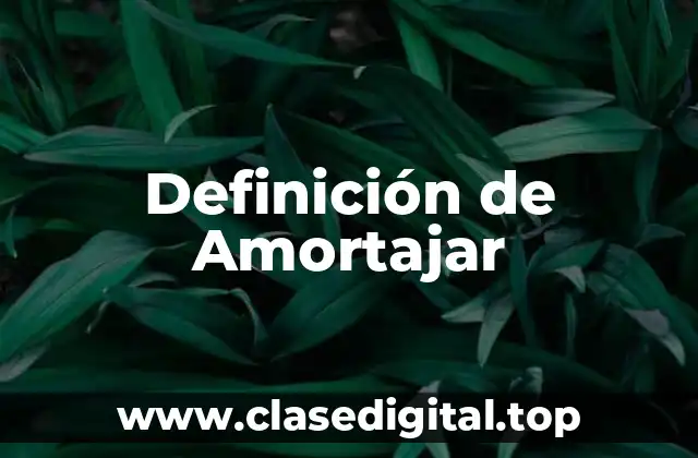 Definición de Amortajar