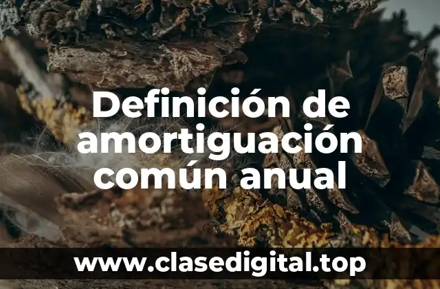 Definición de amortiguación común anual