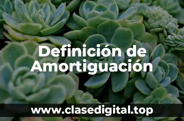 Definición de Amortiguación