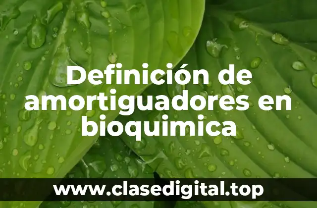 Definición de amortiguadores en bioquimica
