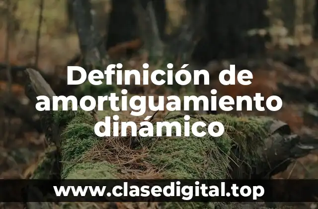 Definición de amortiguamiento dinámico