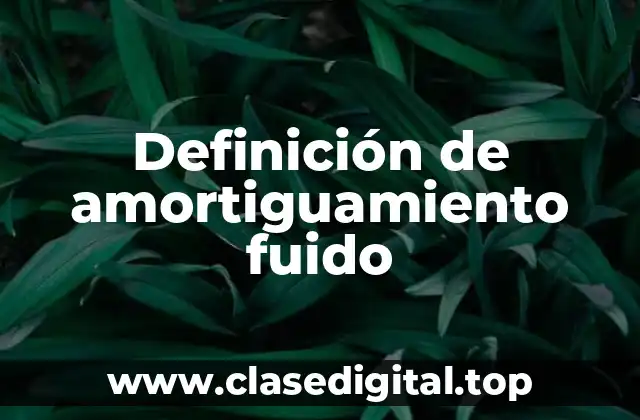 Definición de amortiguamiento fuido