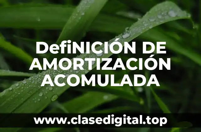 DefiNICIÓN DE AMORTIZACIÓN ACOMULADA