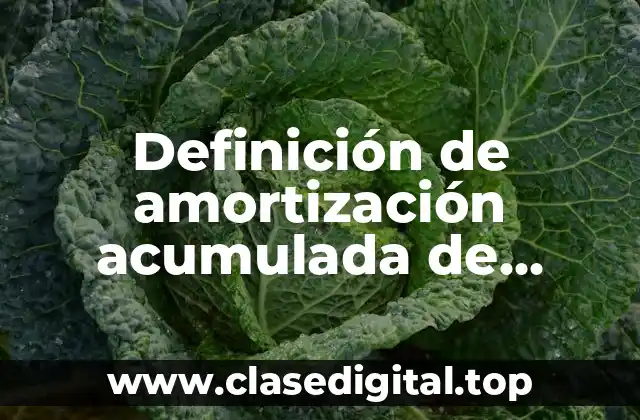 Definición de amortización acumulada de gastos de constitución