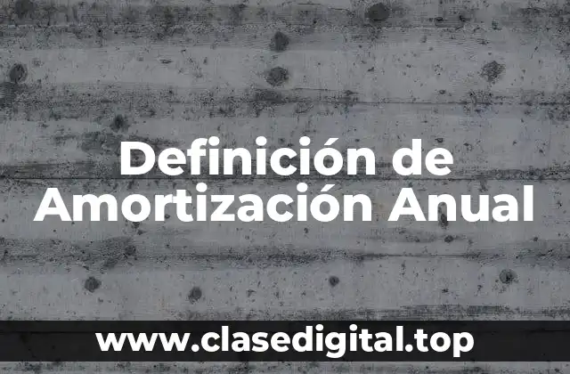 Definición de Amortización Anual