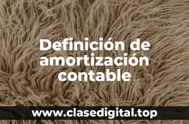 Definición de amortización contable