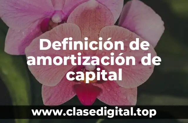 Definición de amortización de capital