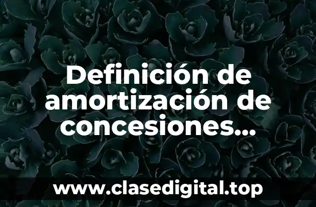 Definición de amortización de concesiones administrativas