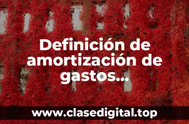 Definición de amortización de gastos preoperativos