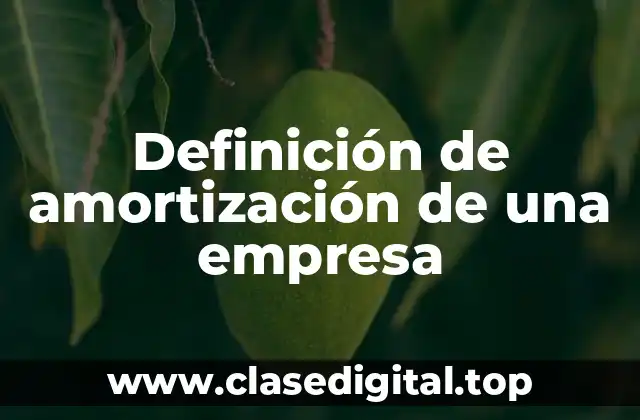 Definición técnica de amortización de una empresa