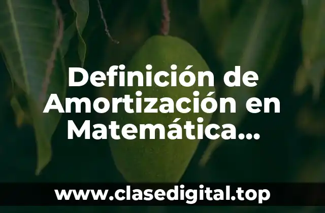 Definición Técnica de Amortización