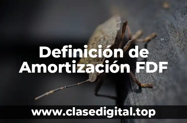 Definición de Amortización FDF