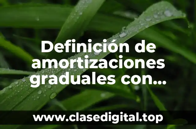 Definición de amortizaciones graduales con interes compuesto