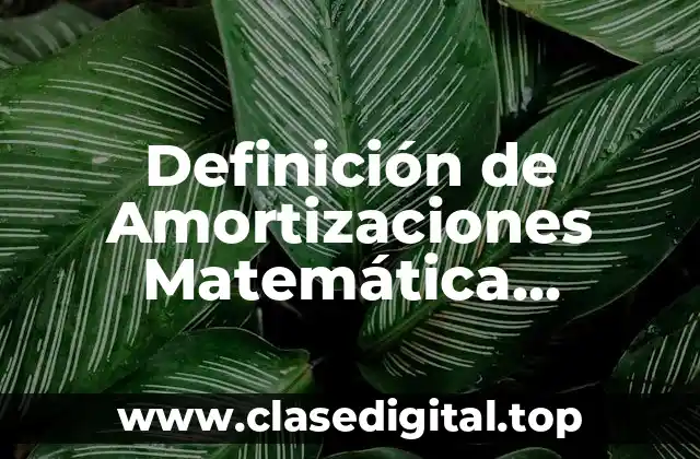 Definición de Amortizaciones Matemática Financiera