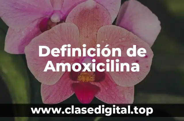 Definición de Amoxicilina
