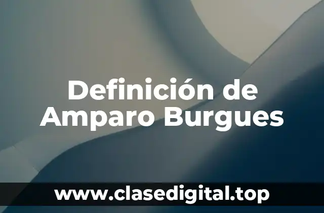 Definición de Amparo Burgues