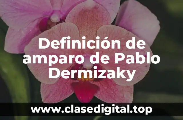 Definición de amparo de Pablo Dermizaky