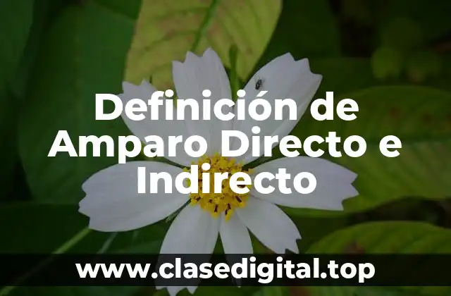 Ejemplos de Amparo Directo e Indirecto