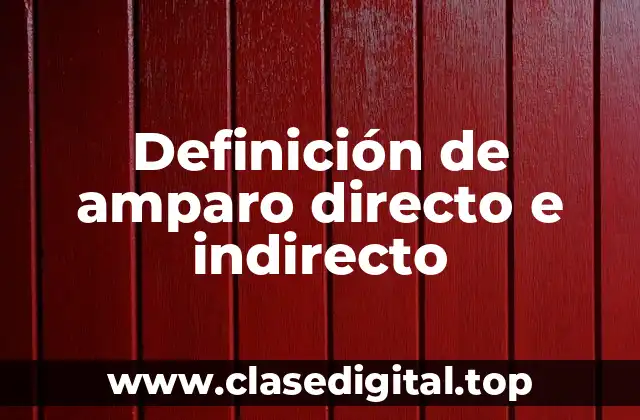 Definición técnica de amparo directo e indirecto