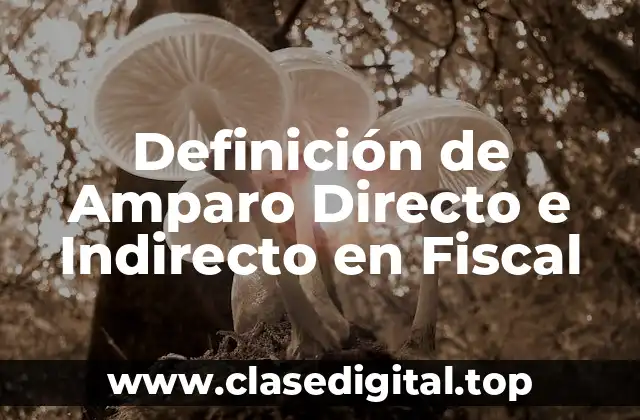 Definición de Amparo Directo e Indirecto en Fiscal