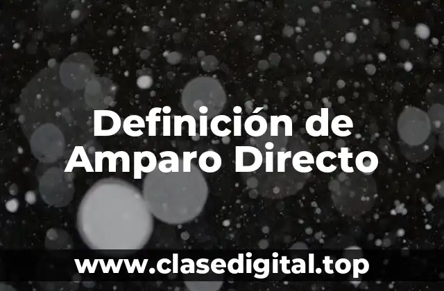 Definición Técnica de Amparo Directo