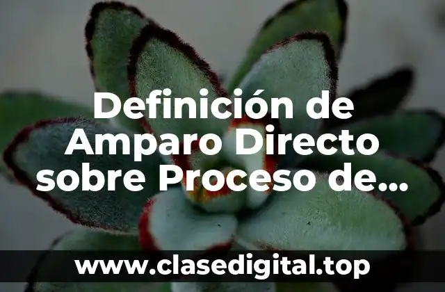 Definición de Amparo Directo sobre Proceso de Selección
