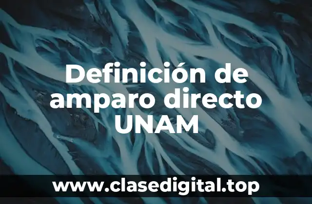 Definición de amparo directo UNAM
