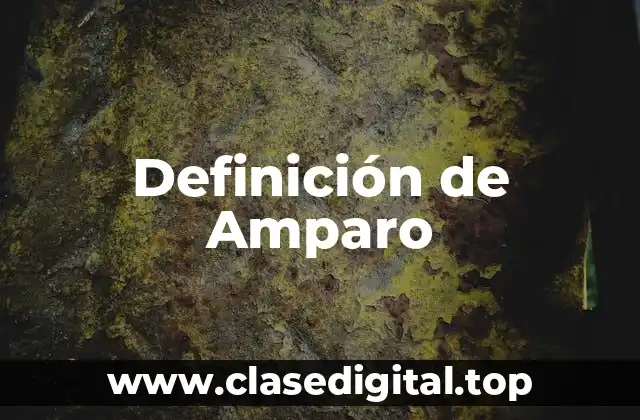 Definición técnica de Amparo