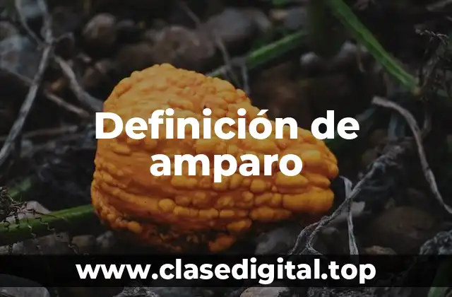 Definición de amparo