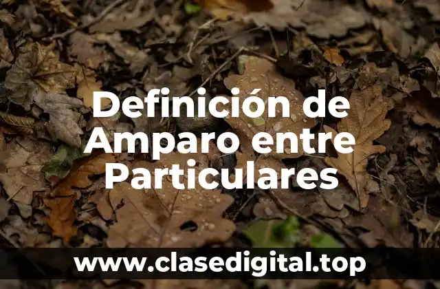 Definición de Amparo entre Particulares