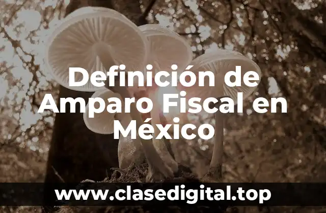 Definición de Amparo Fiscal en México