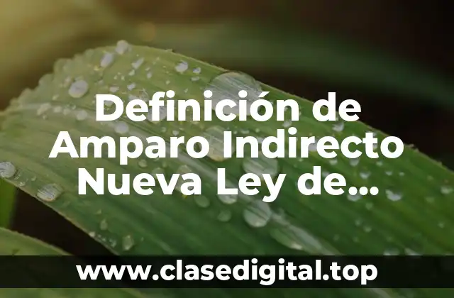 Definición de Amparo Indirecto Nueva Ley de Amparo