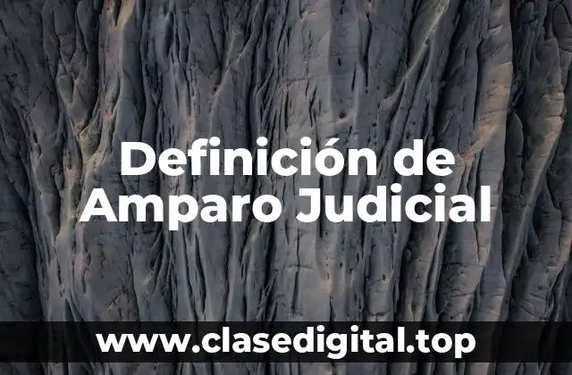 Definición de Amparo Judicial