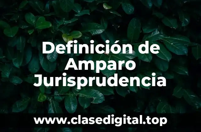 Definición de Amparo Jurisprudencia