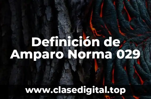 Definición de Amparo Norma 029