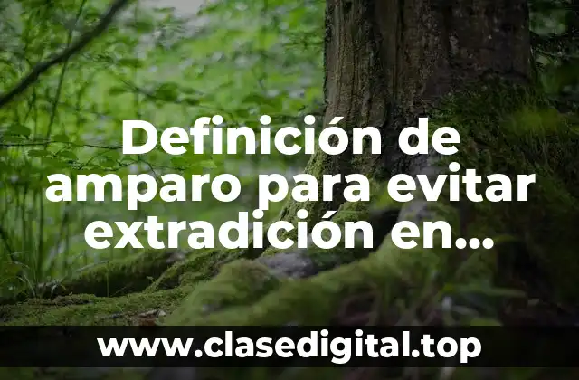 Definición de amparo para evitar extradición en México