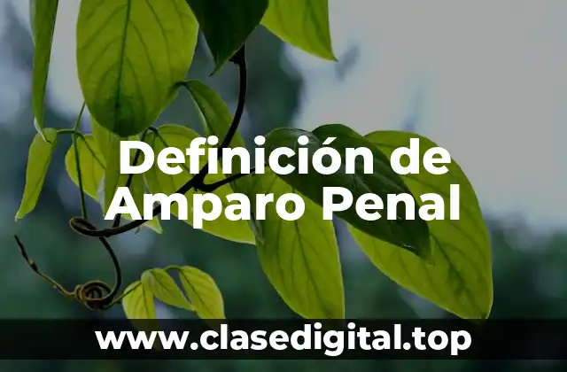 Definición de Amparo Penal