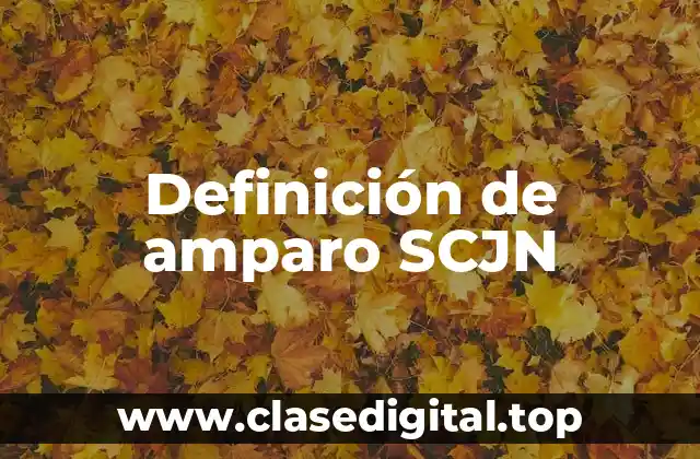 Definición de amparo SCJN