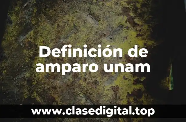 Definición técnica de amparo UNAM