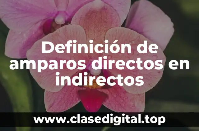 Definición de amparos directos en indirectos