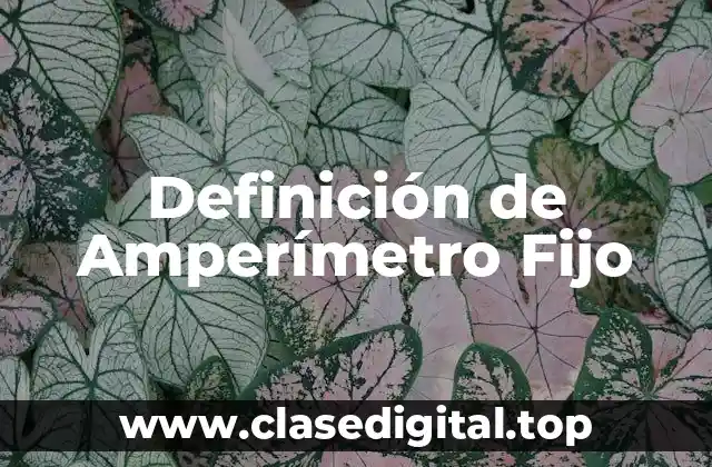 Definición de Amperímetro Fijo