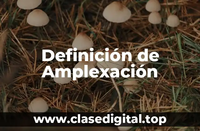 Definición de Amplexación