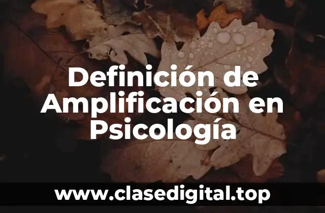 Definición técnica de Amplificación