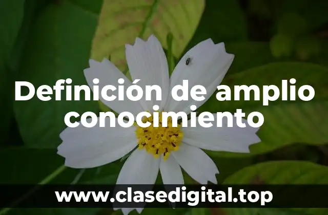 Definición de amplio conocimiento