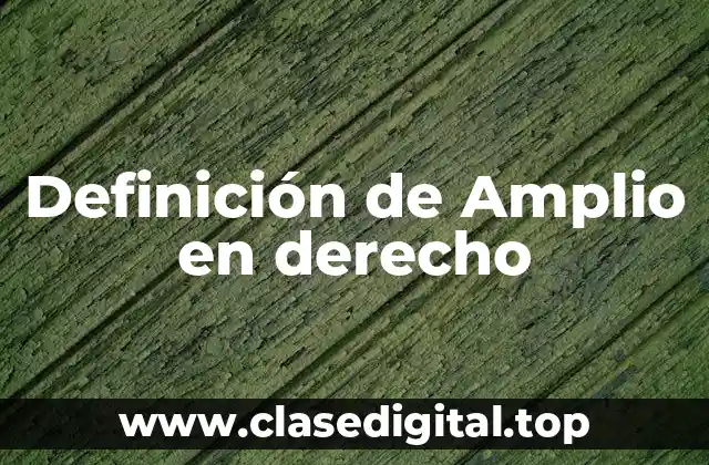 Definición de Amplio en derecho